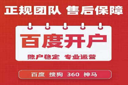 SEM托管服务，成功案例见证转化奇迹